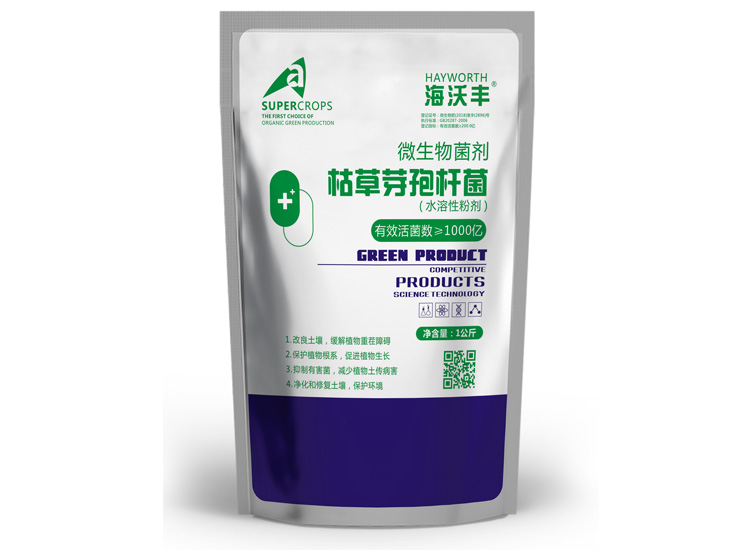 枯草芽孢桿菌