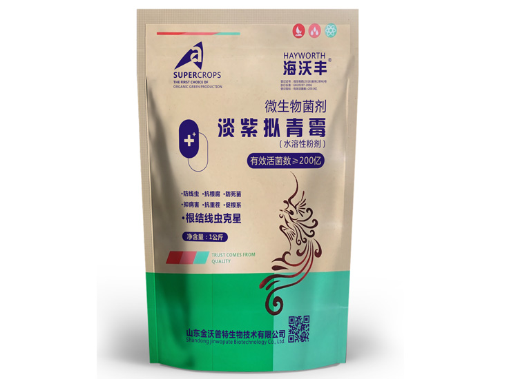 淡紫擬青霉